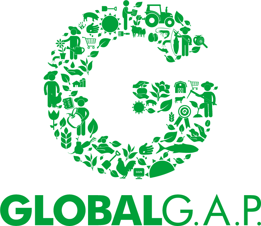 220624 GG logo Green Web v2